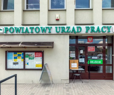 Rafał Woś: Pełne zatrudnienie? I o to chodzi! I to się liczy!