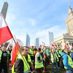 Rafał Woś: Rolnicy, ściągnijcie ten liberalny establishment z powrotem na ziemię!