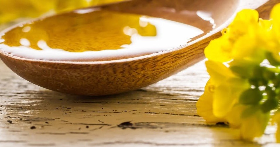 Рафінована ріпакова олія - найкращий вибор для смаження риби /Domena publiczna