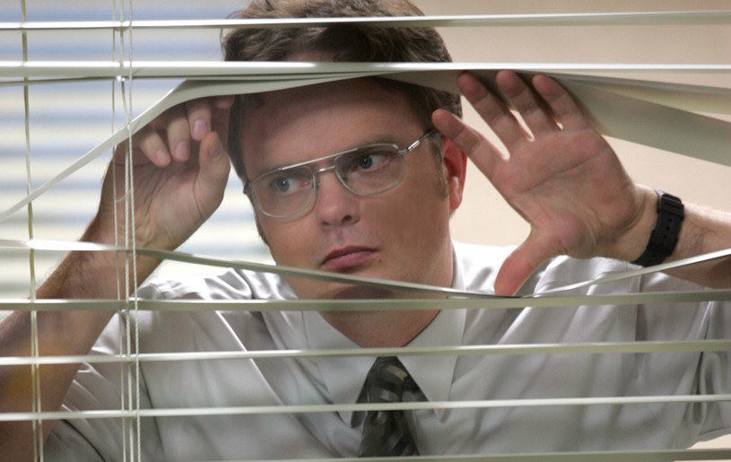 Rainn Wilson w serialu "The Office" /materiały prasowe