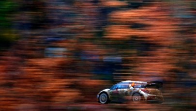 Rajd Monte Carlo: Kubica wygrał 5. odcinek specjalny