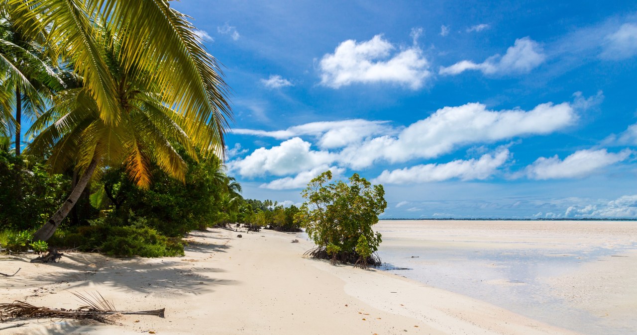 Rajska plaża na jednej z wysp Kiribati. /123RF/PICSEL