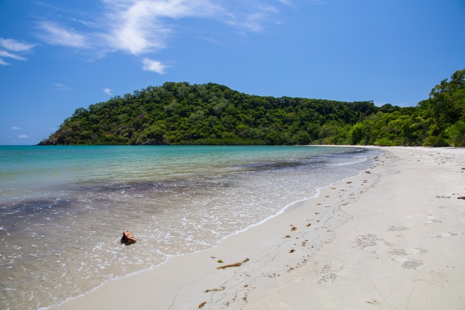 Rajska plaża na przylądku Cape Tribulation /Shutterstock