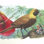 Rajskie cuda ukrywały się w skale. Dinozaury musiały być zdumione