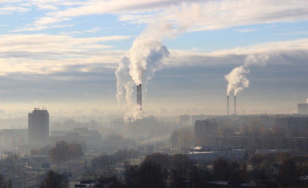 Rakotwórczy smog. Ekspert radzi, jak się przed nim chronić