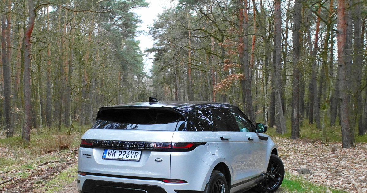 Range Rover Evoque /INTERIA.PL