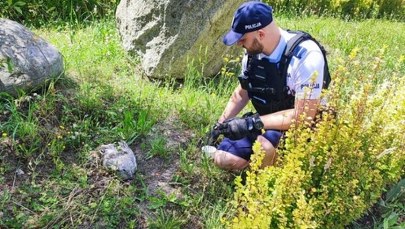 Ranny ptak w gęstych zaroślach. Zobacz, co zrobili mundurowi