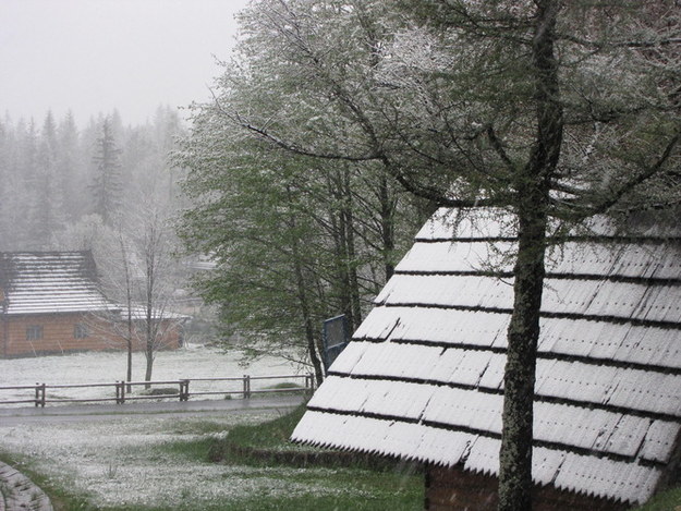 Rano w Tatrach i w samym Zakopanem spadł śnieg /Maciej Pałahicki /RMF FM