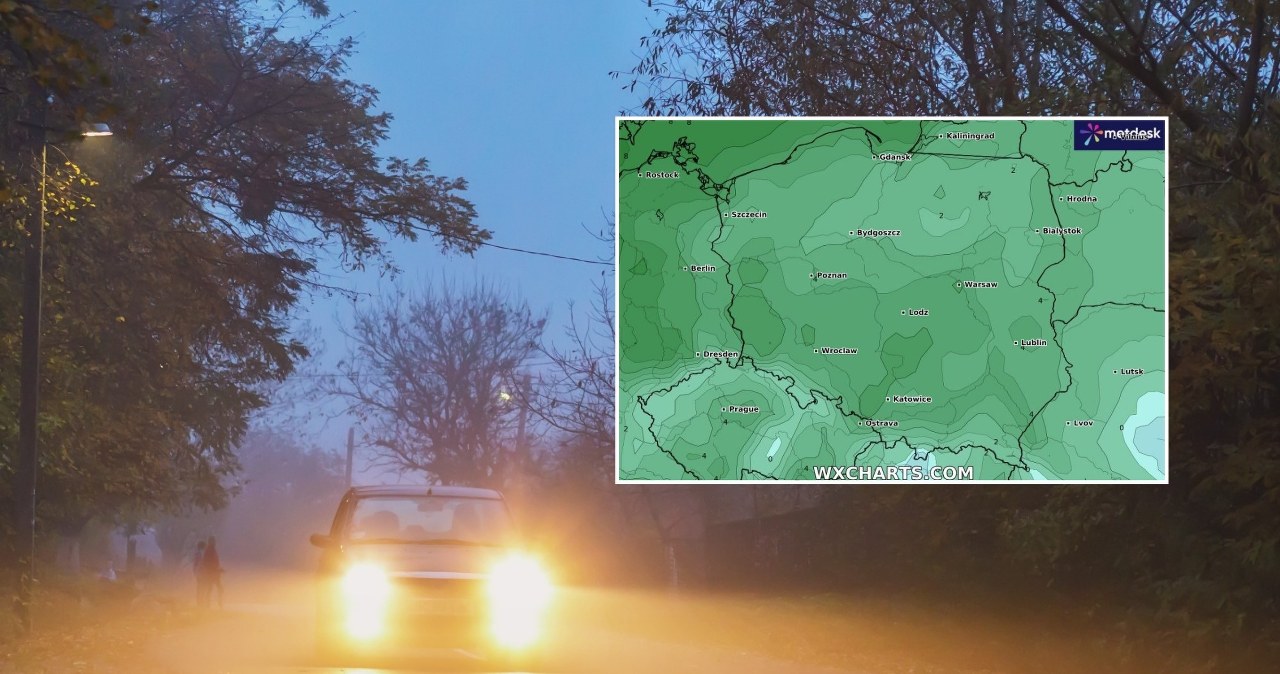Rano w wielu miejscach Polski pojawiły się gęste mgły, przed którymi ostrzegał IMGW. Miejscami mogą się utrzymywać nawet do południa /lilyavantsura/123rf/WXCHARTS /