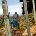 Raport MOP: Miliardowe zyski z pracy niewolniczej