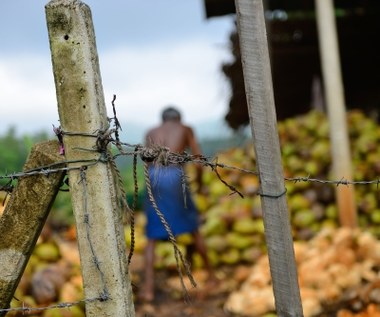Raport MOP: Miliardowe zyski z pracy niewolniczej