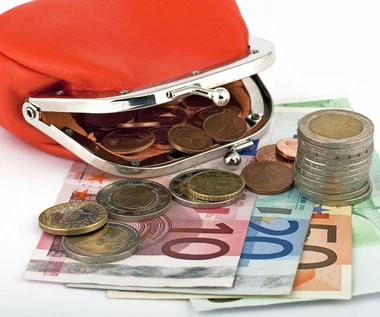 Raport OECD: Jaskrawe różnice w zarobkach w RFN 