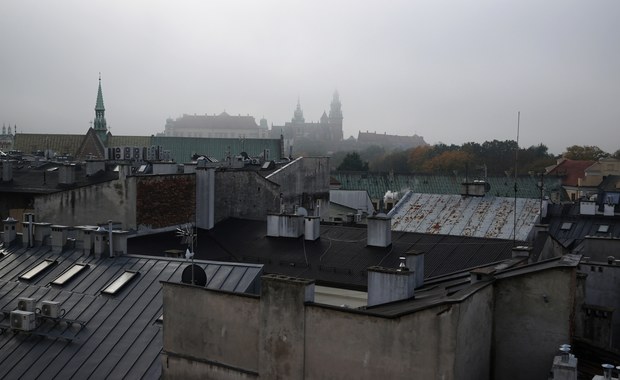 Raport Polskiego Alarmu Smogowego. Mniej zgłoszeń, niskie kary   