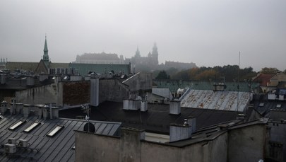Raport Polskiego Alarmu Smogowego. Mniej zgłoszeń, niskie kary   