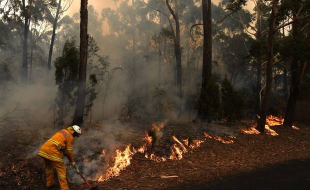 Raport: Pożary w Australii 