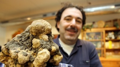 Rarytas - białe trufle tanie jak barszcz?