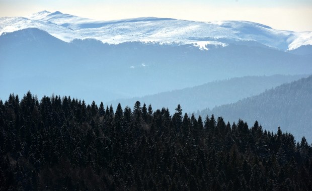 Ratownicy dotarli do młodych survivalowców w Bieszczadach 
