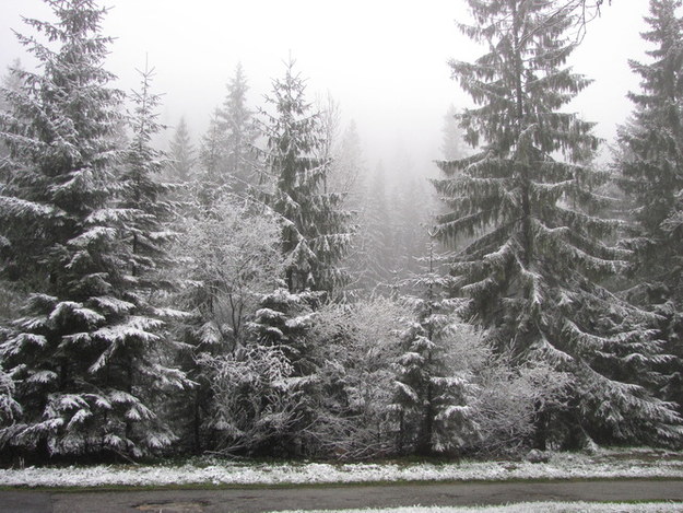 Ratownicy ostrzegają, że warunki w górach bardzo się pogorszyły. Spadło kilka centymetrów śniegu, a mgła ogranicza widoczność do kilkunastu metrów. /Maciej Pałahicki /RMF FM