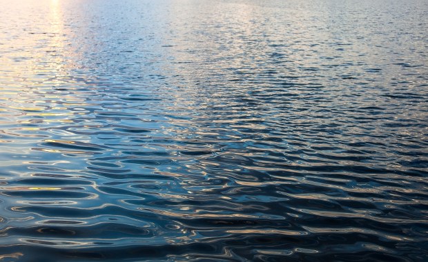 Ratownicy poszukują mężczyzny, który wpadł do jeziora Chechło