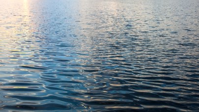 Ratownicy poszukują mężczyzny, który wpadł do jeziora Chechło