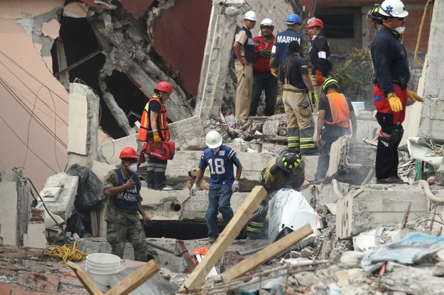 Ratownicy wciąż próbują odnaleźć żywych ludzi pod gruzami /Ulises Ruiz Basurto    /PAP/EPA
