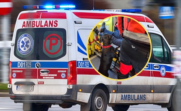 Ratownicy z Gdyni pokazali serce. Zdjęcie mówi samo za siebie