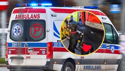 Ratownicy z Gdyni pokazali serce. Zdjęcie mówi samo za siebie