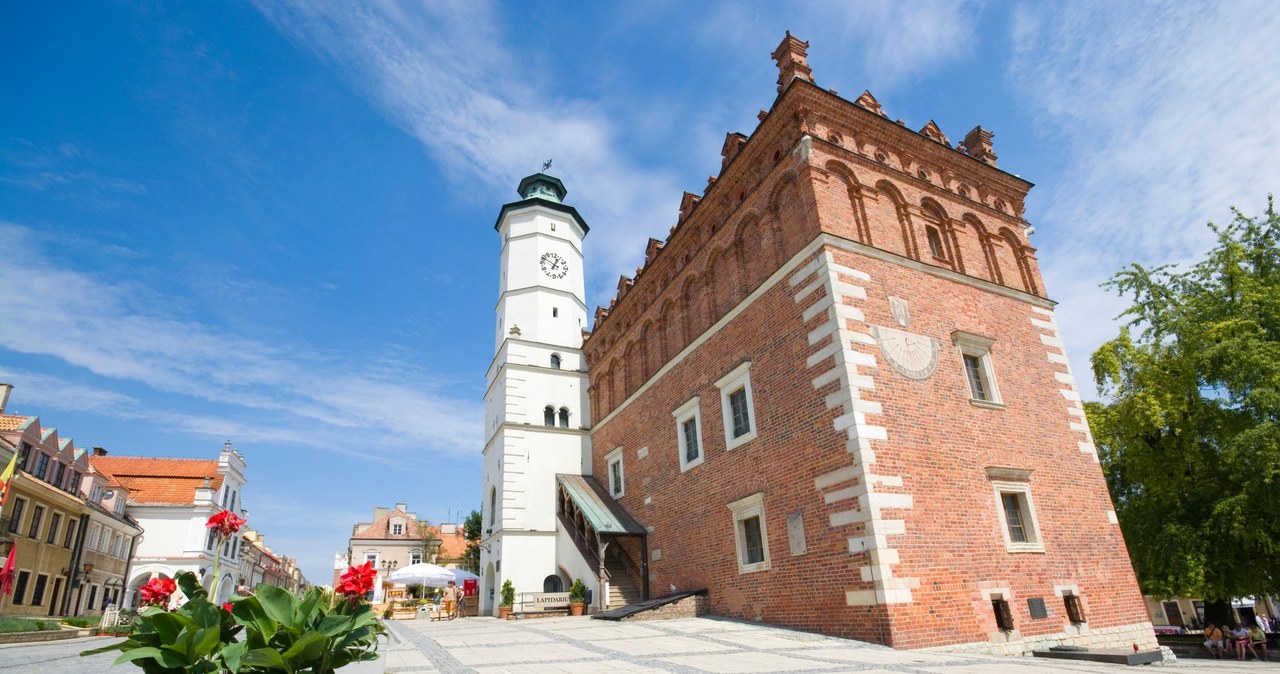 Ratusz w Sandomierzu /123RF/PICSEL