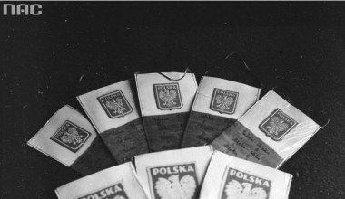 Raz w koronie, raz bez - historia orła białego