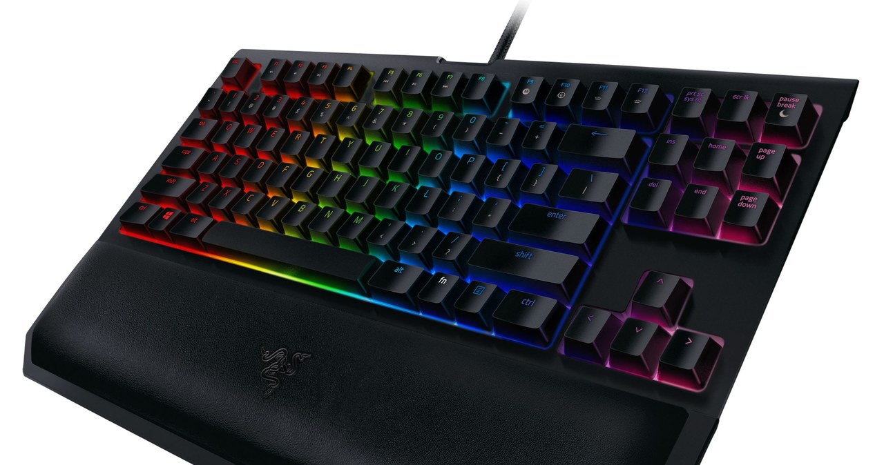 Razer /materiały prasowe