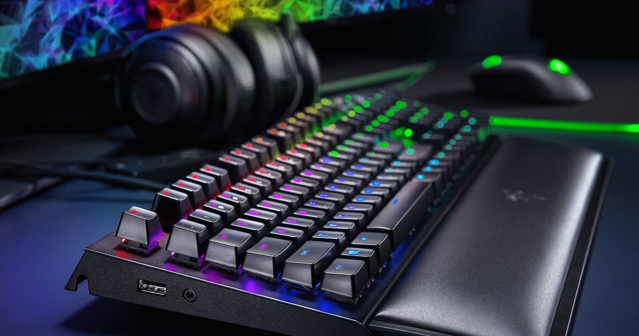 Razer /materiały prasowe