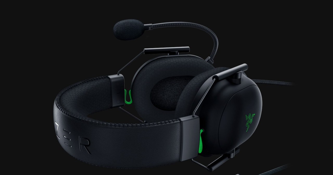 Razer /materiały prasowe