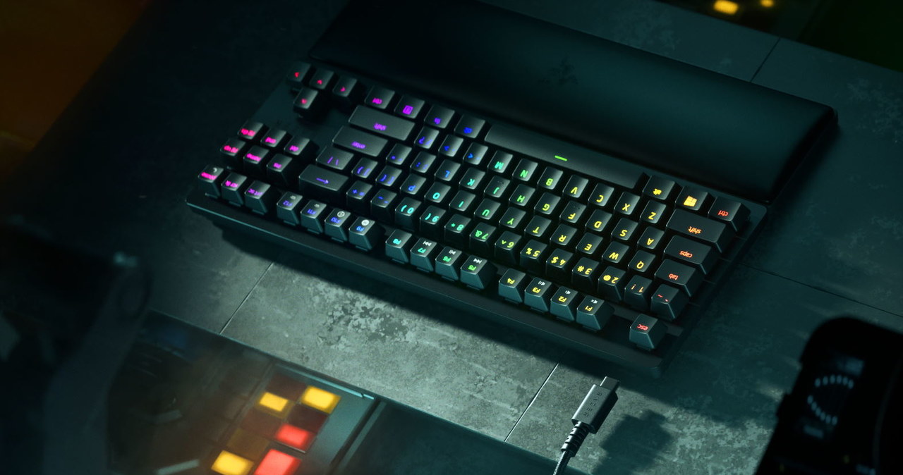 Razer /materiały prasowe