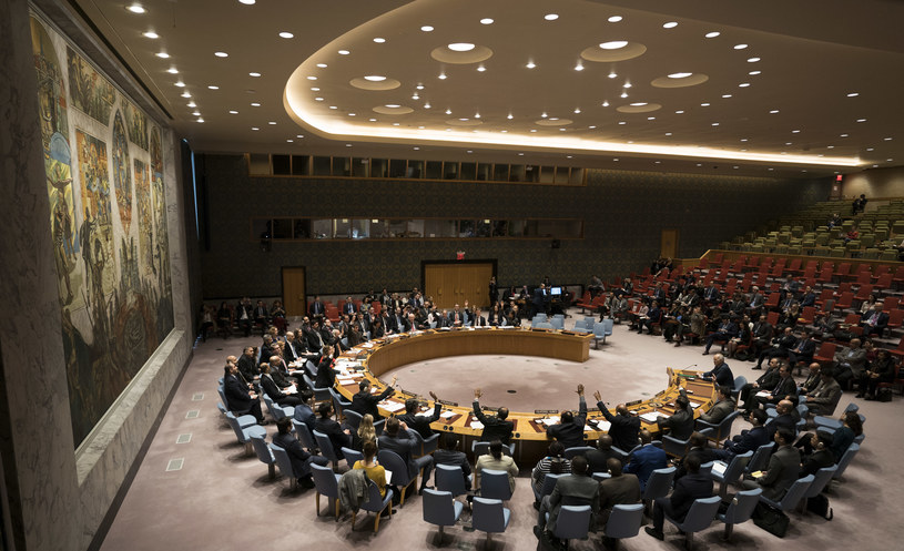 RB ONZ przyjęła rezolucję w sprawie Syrii /DON EMMERT /AFP