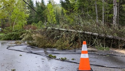 RCB ogłasza alert dla pięciu województw. "Burze, ulewy, silny wiatr"