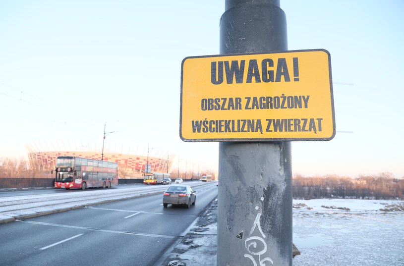 RCB ostrzega przed nowymi przypadkami wścieklizny na Mazowszu /Pawel Wodzynski /East News