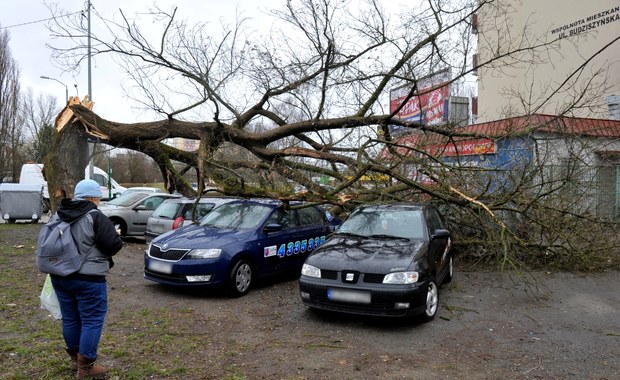 RCB po wichurach: Już tylko 3 tys. odbiorców bez prądu