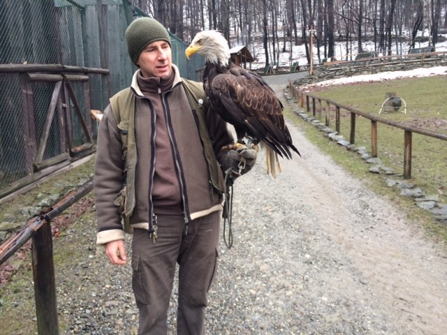 Reagan - mieszkaniec Leśnego Parku Niespodzianek /Anna Kropaczek /RMF FM