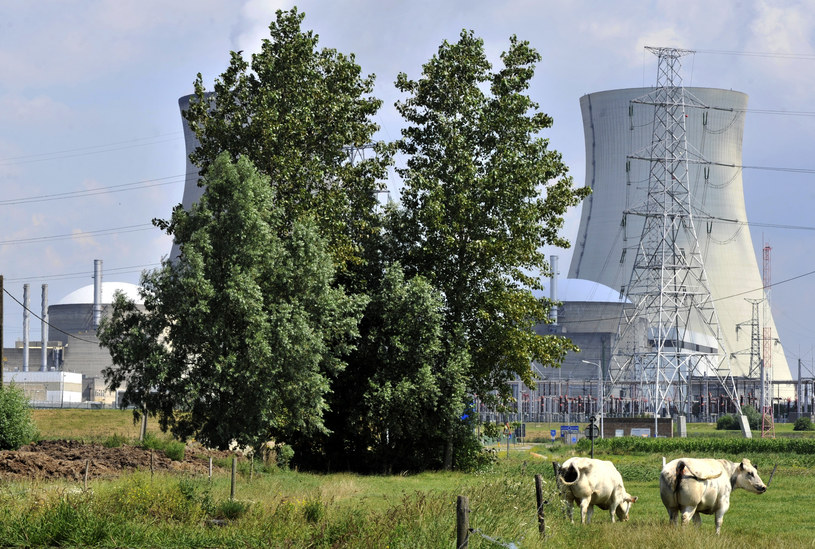 Reaktor w Doel koło Antwerpii /GEORGES GOBET / AFP /AFP