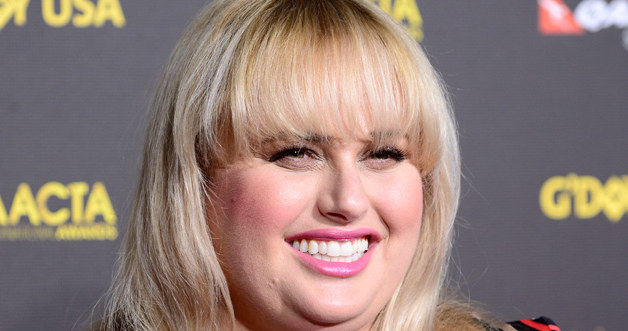 Rebel Wilson znów jest singielką! /Frazer Harrison /Getty Images