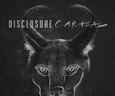 Recenzja Disclosure "Caracal": Zatańcz ze mną