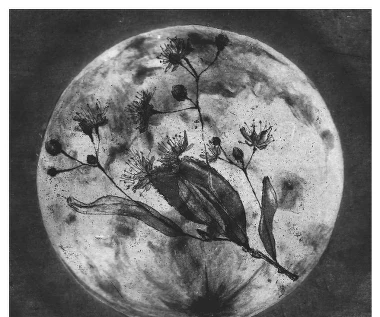 Recenzja Oly. "Home": Smutny głos, piękny debiut