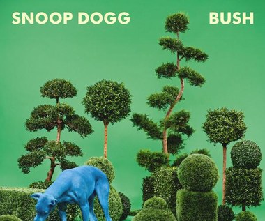 Recenzja Snoop Dogg "Bush":  Tak brzmi biznes