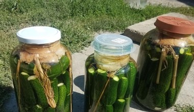 Receptura na kiszone ogórki z „polskiej Jerozolimy”. O „ogórcorzach” wspomniał nawet Jan Paweł II