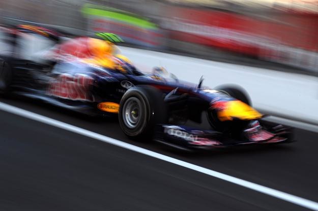 Red Bull w najbliższych latach będzie korzystał z silników Renault /AFP