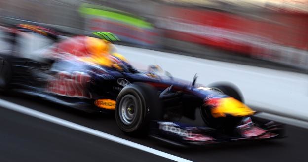 Red Bull w najbliższych latach będzie korzystał z silników Renault /AFP