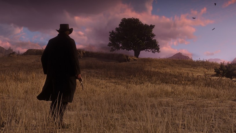 Red Dead Redemption 2 /materiały prasowe