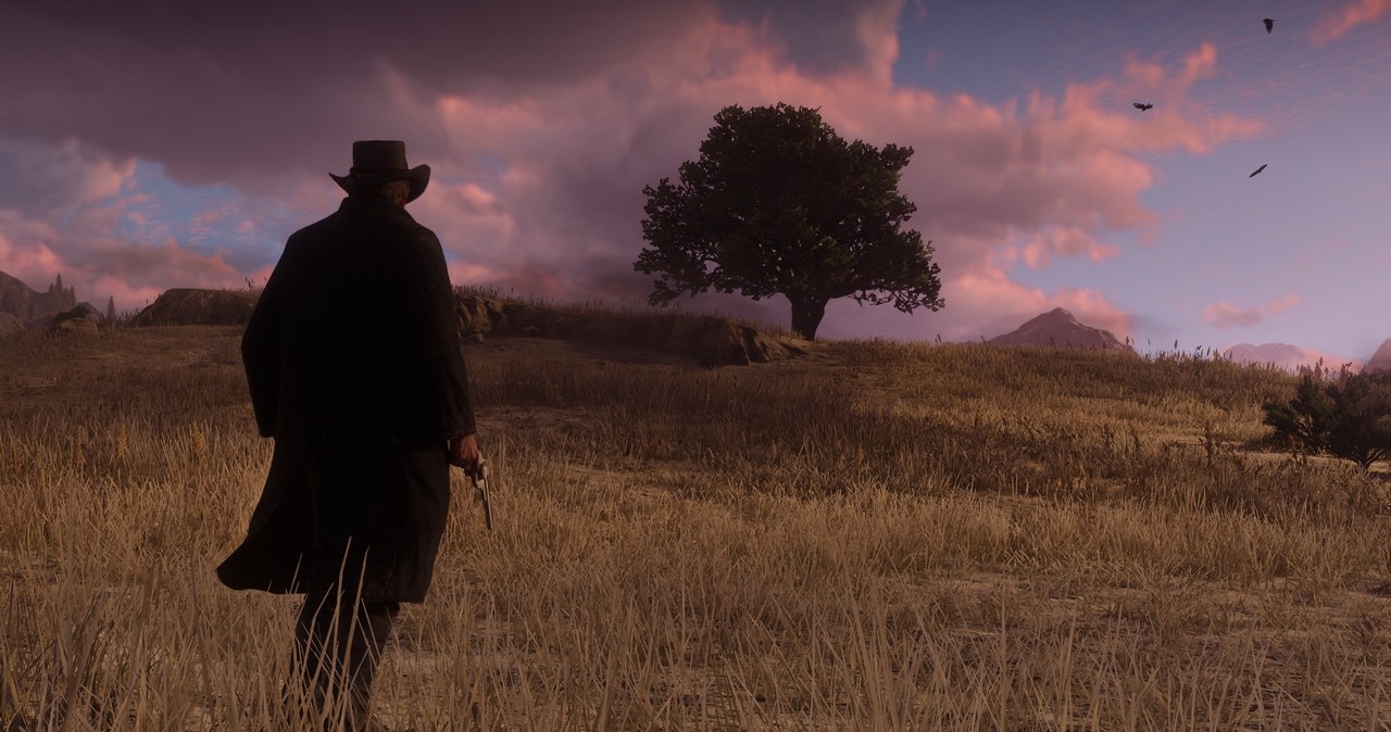 Red Dead Redemption 2 /materiały prasowe