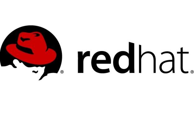 Red Hat jest liderem w swoim segmencie /materiały prasowe