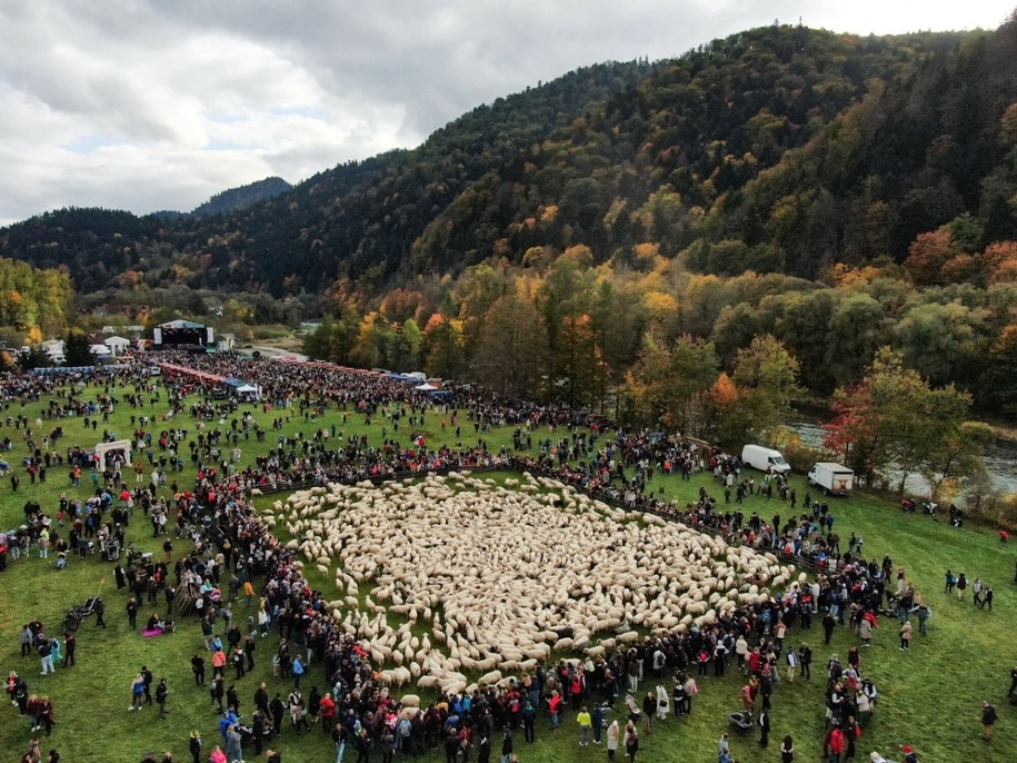 Redyk w Szczawnicy /AA/ABACA/Abaca/East News /East News